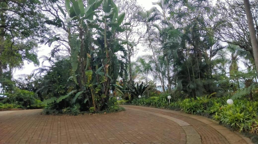 St George'S Guest House Tzaneen Δωμάτιο φωτογραφία